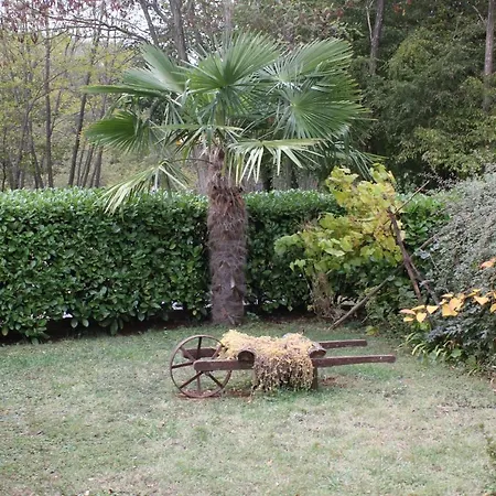 Σπίτι διακοπών House With A Parking Space Sveti Martin, Istria - Sredisnja Istra - 7415 Ruzici (Sveta Nedelja)